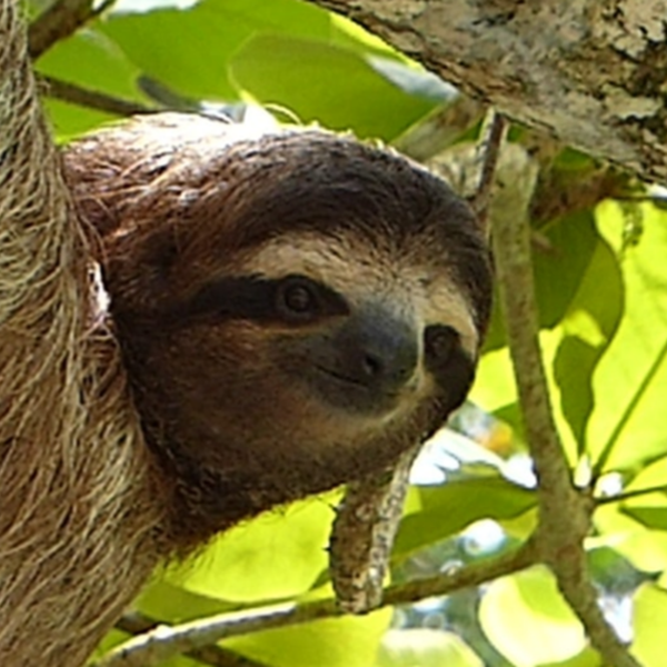 Costa Rica Destination Information