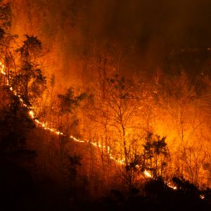 Travel Disrupted: Weather and Natural Disasters  