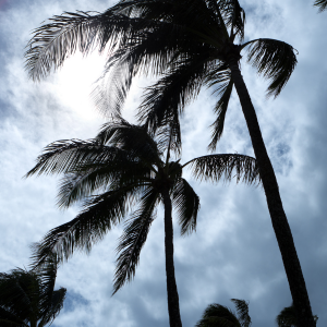 Get ready for Hurricane Season 2024