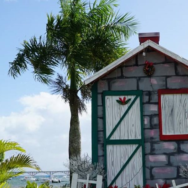 Caribbean Holiday