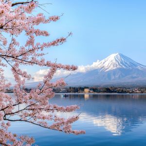 Travel News April2025 4