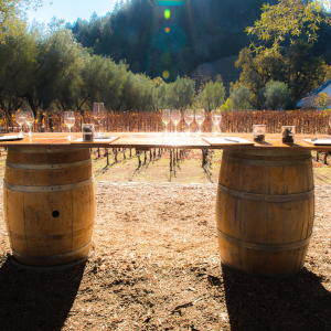 Napa Valley
