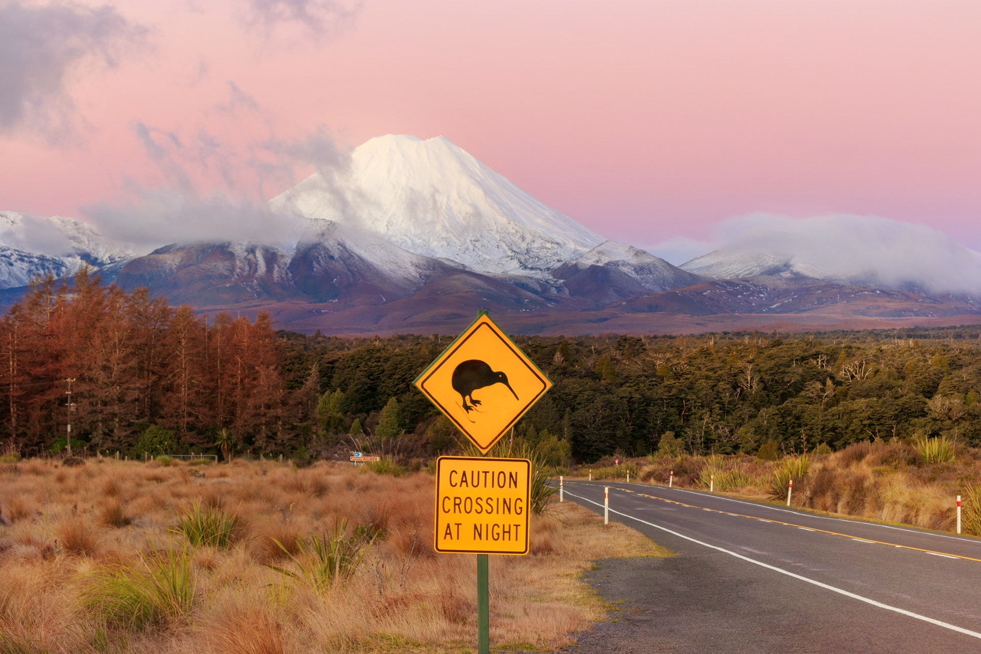 New Zealand