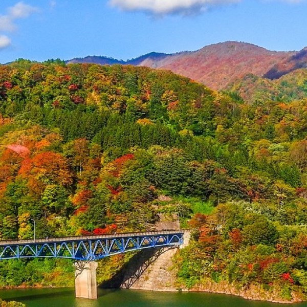 Travel Coverage for Your Fall Vacation