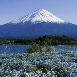 Mount Fuji