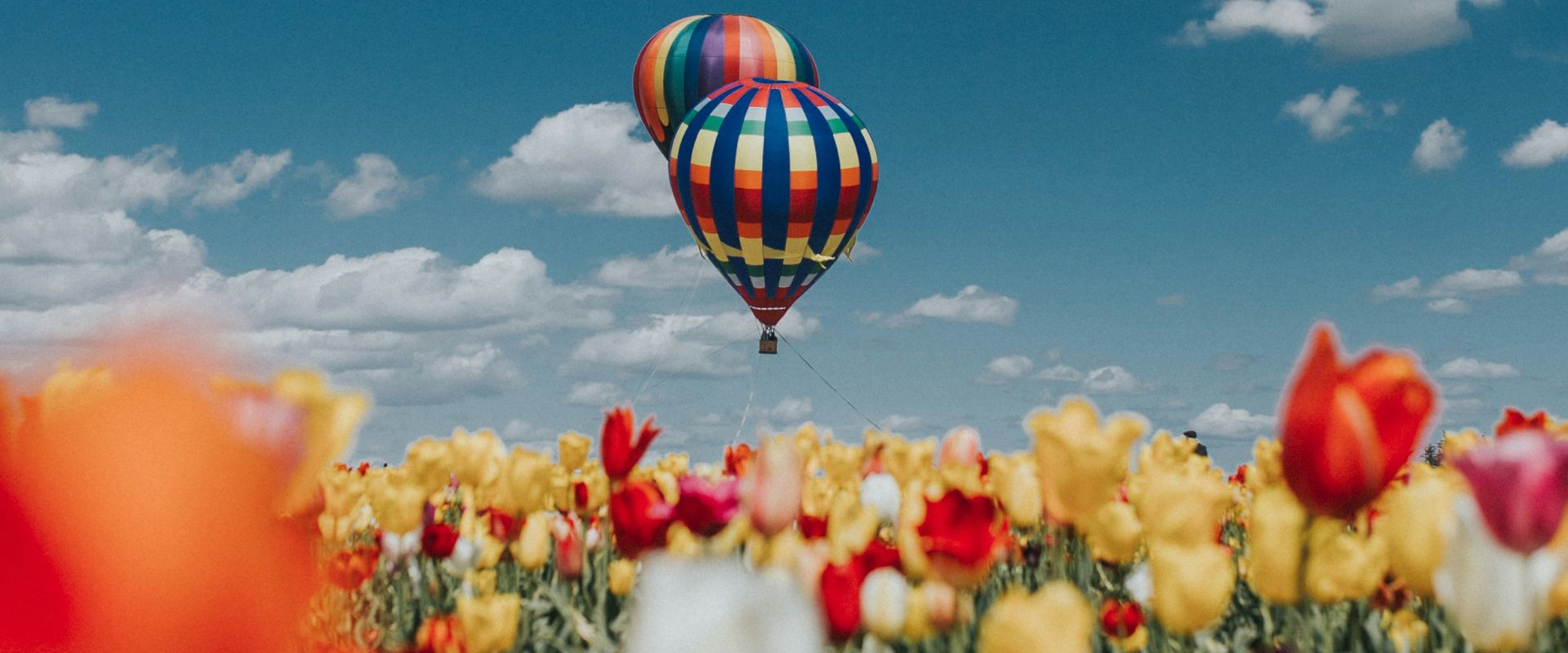 Travel News February 2024 (1)