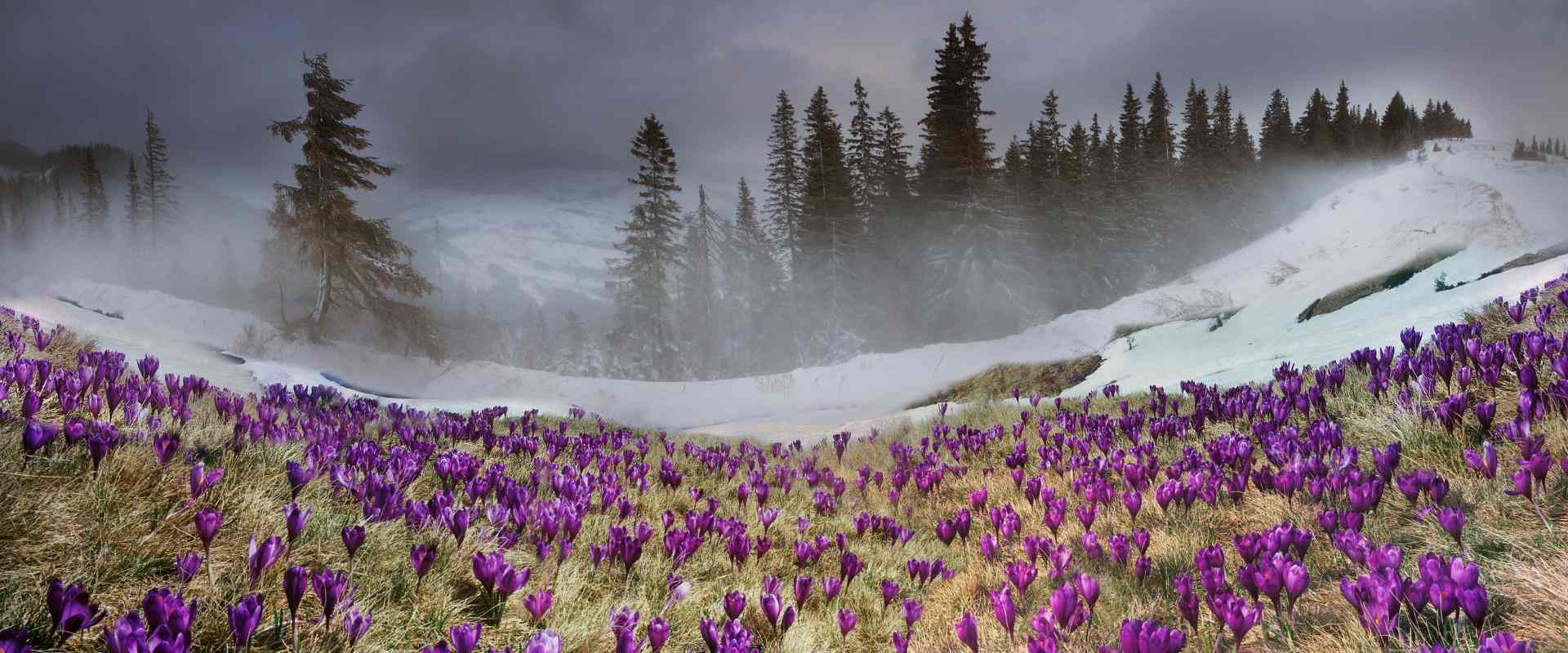 Travel News March 2023