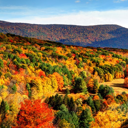Best Fall Destinations Northeast (1)