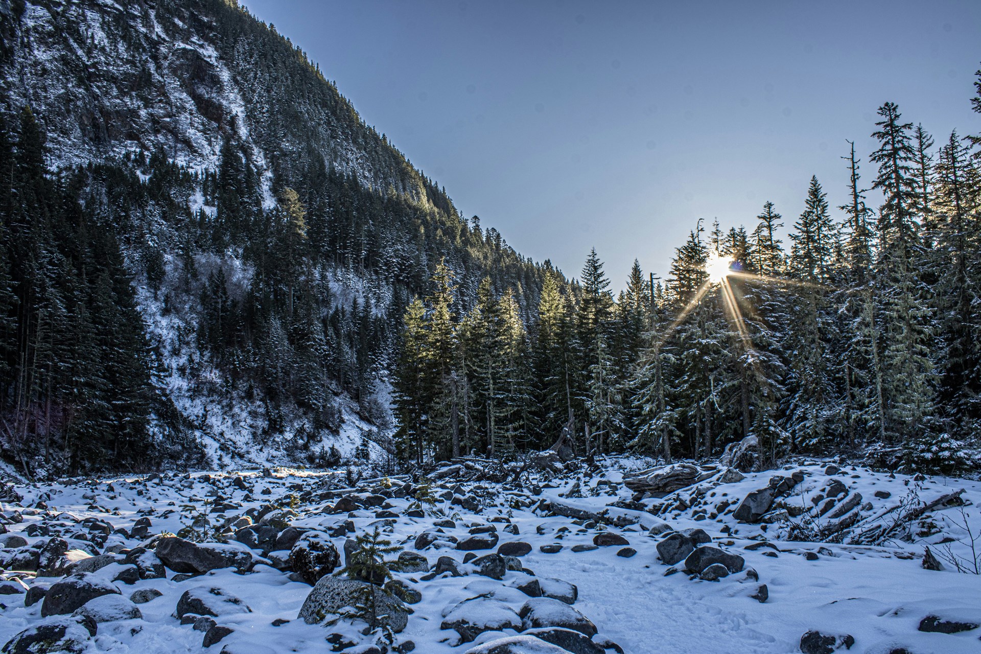 Scenic Winter Landscape