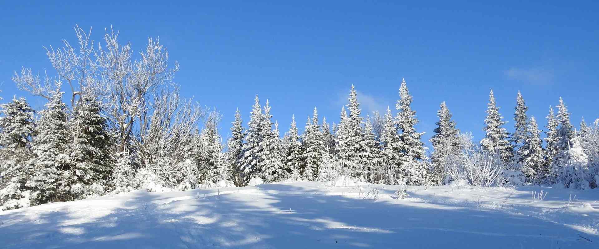 Travel News January 2023