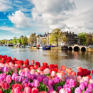 Travel News March2025 (1)