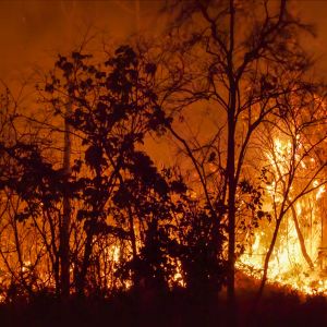 Wildfires