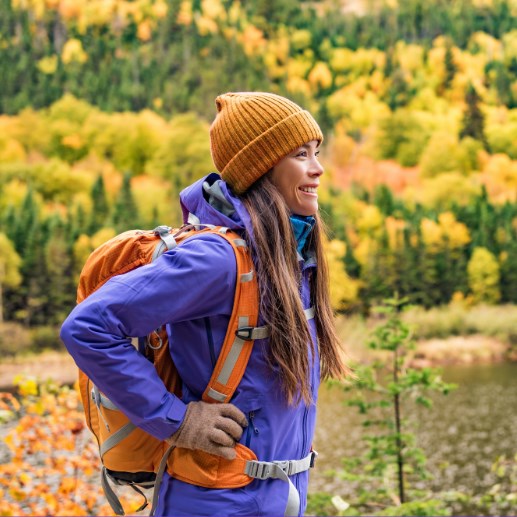 Fall Travel Insights