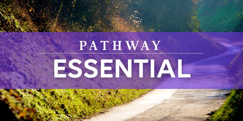 Essential (1)