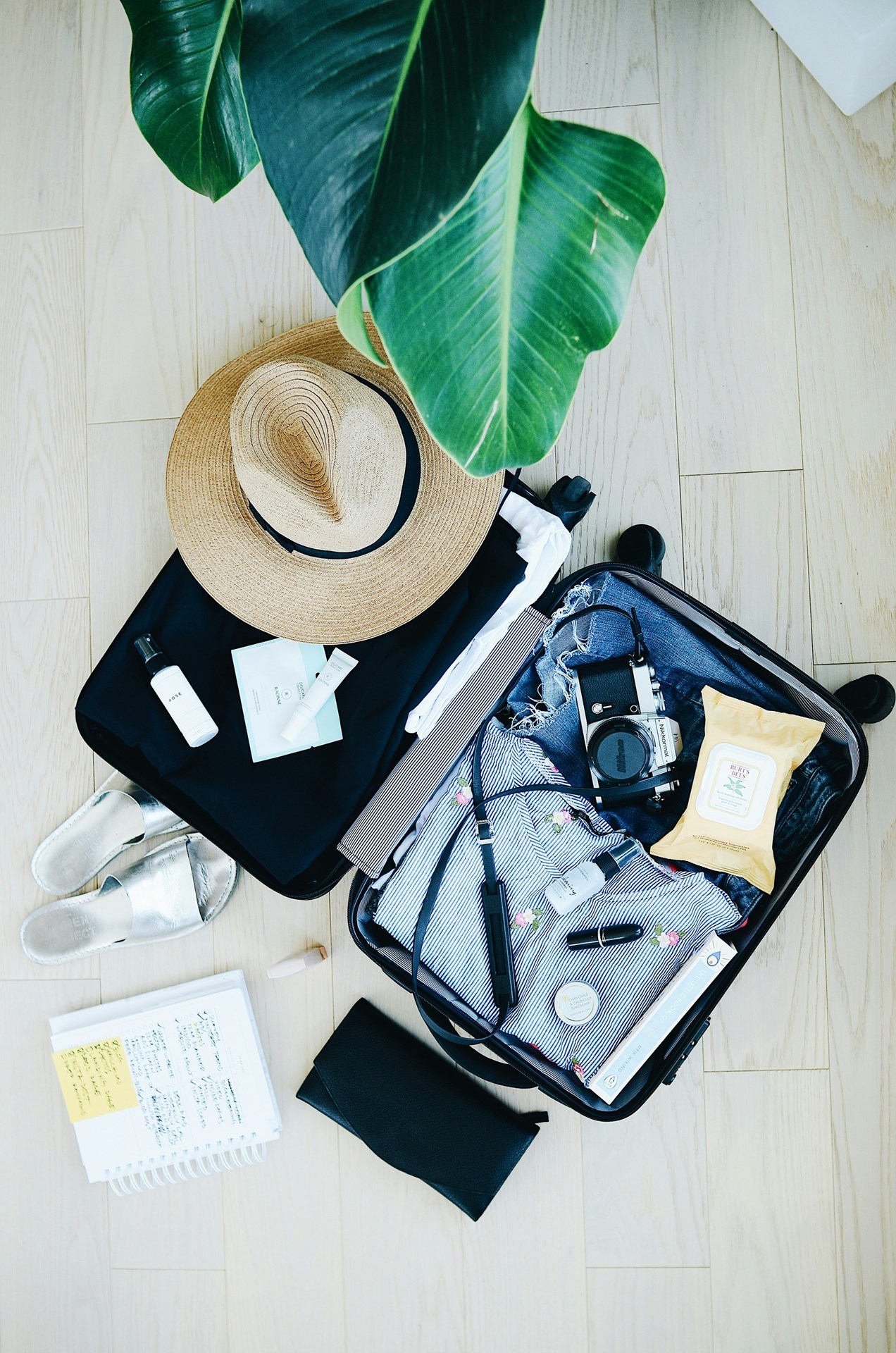 Rental Homestay Travel Tips | Trawick Blog