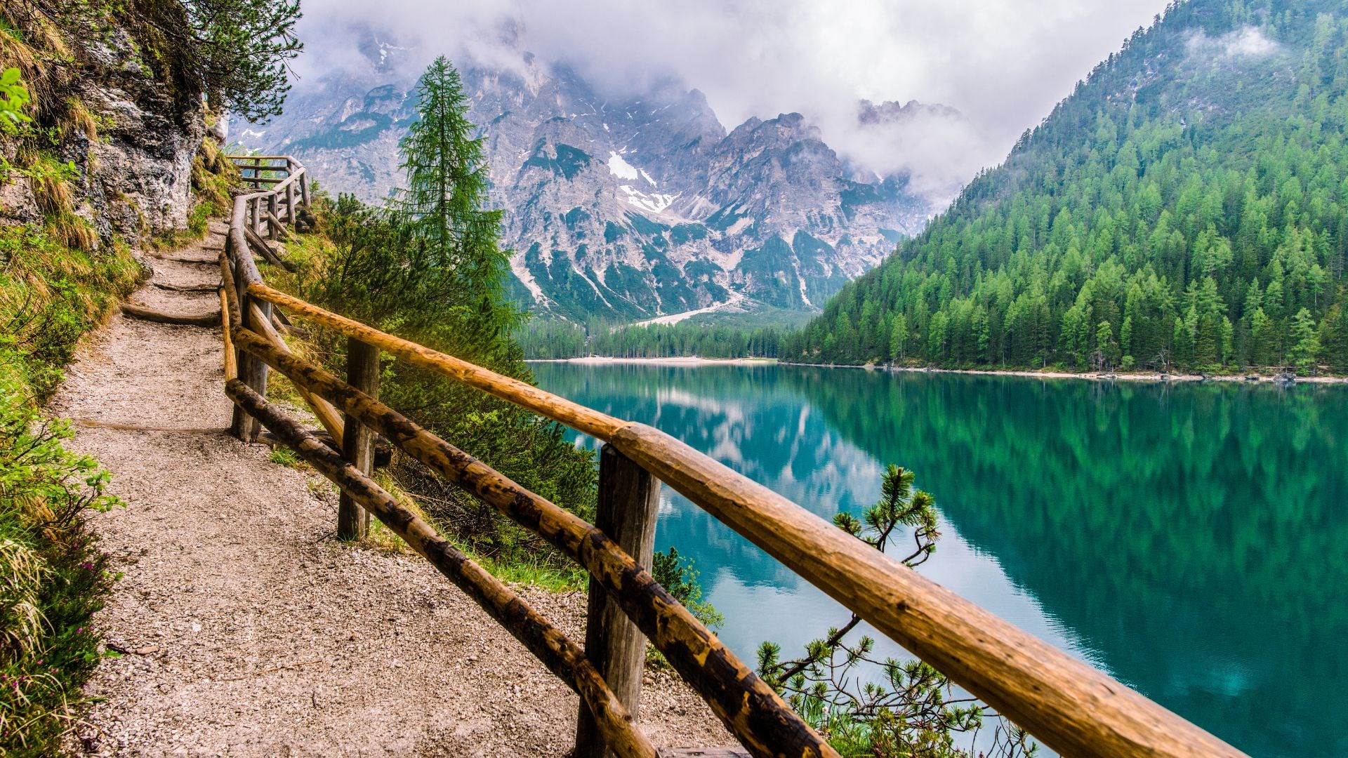 Pathwaybannerimage Homepage