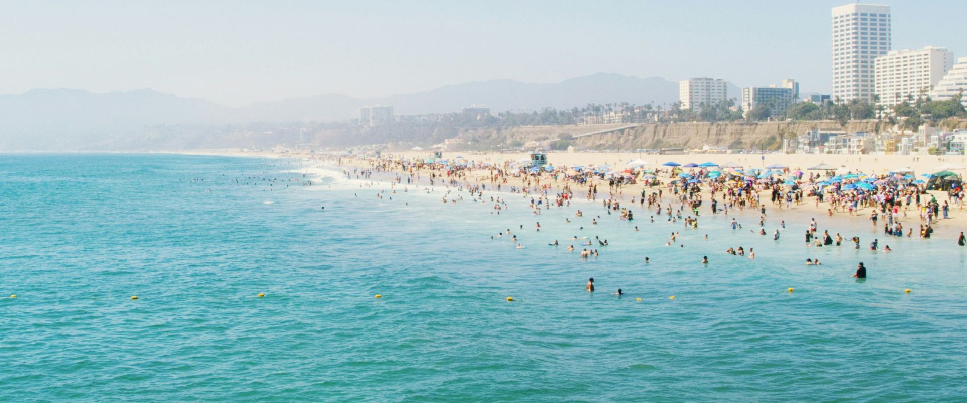 Trip Can Spring Break DMC Banner 2