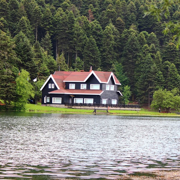 Vacation Rental Homes Travel Tips