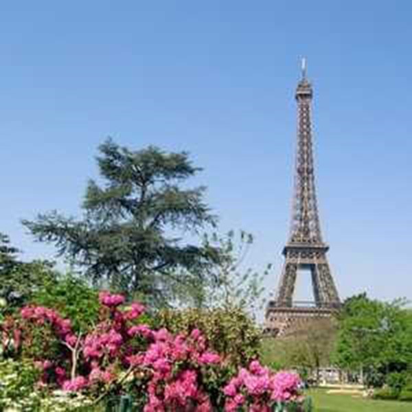 Eiffel Tower in Paris, France