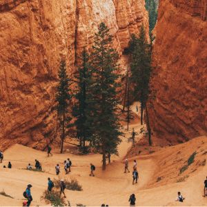 National Parks Overtourism