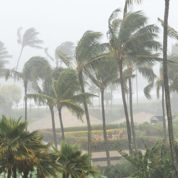 Ready for Hurricane Season? 