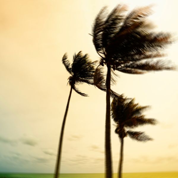 How to prepare for Hurricane Idalia