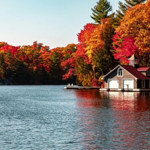 Fall
