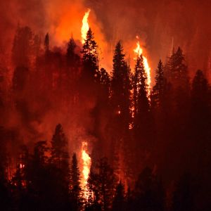 Fires in Turkey and France