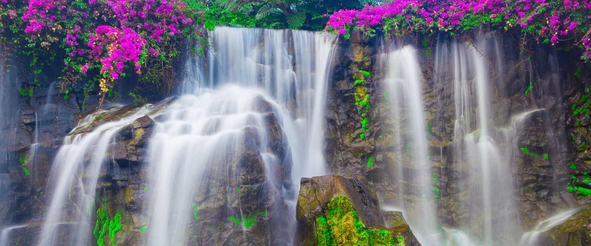 Honeymoon Travel Insurance